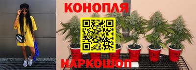 гидропоника Апрелевка