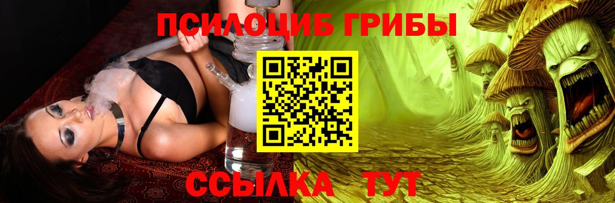 Галлюциногенные грибы прущие грибы Волгоград